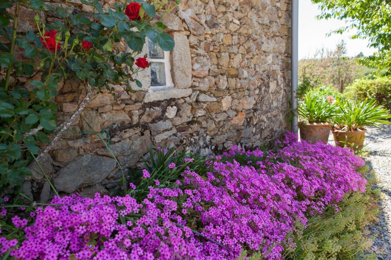Soudaine-Lavinadière B&B Fleur De Lys Bleue المظهر الخارجي الصورة